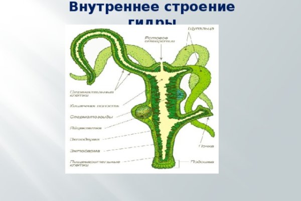 Кракен не работает сайт