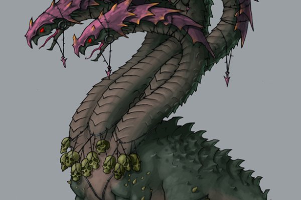 Kraken 17 at net